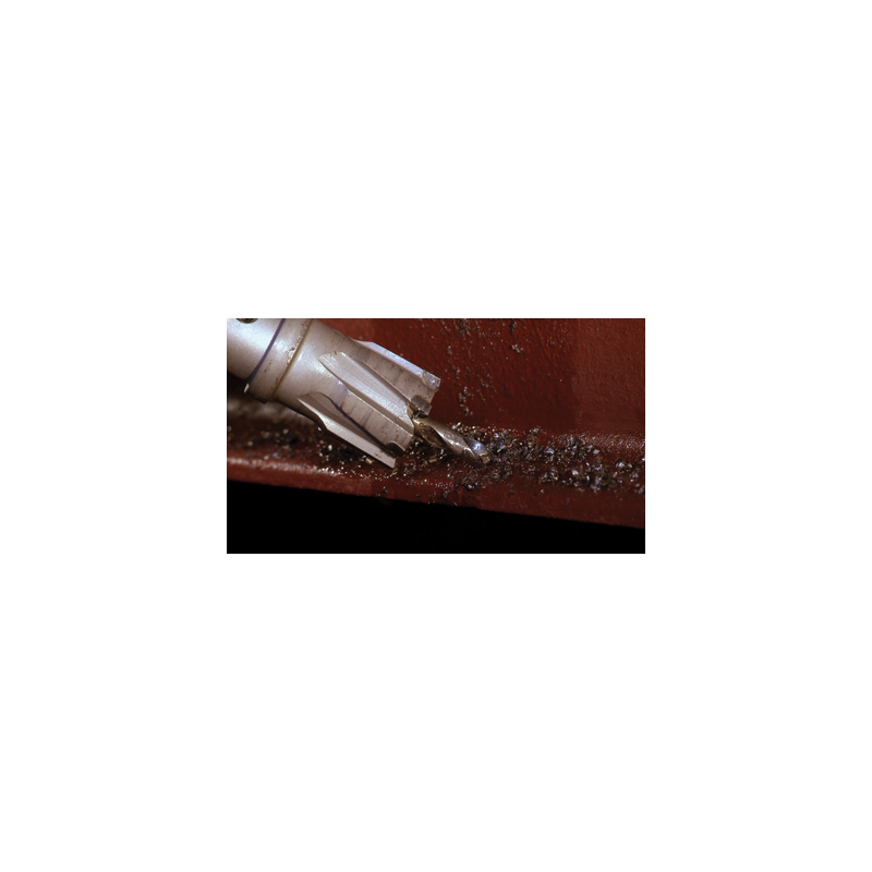 35 mm HM Endura ProFit Gatfrees - WeraGereedschap.nl